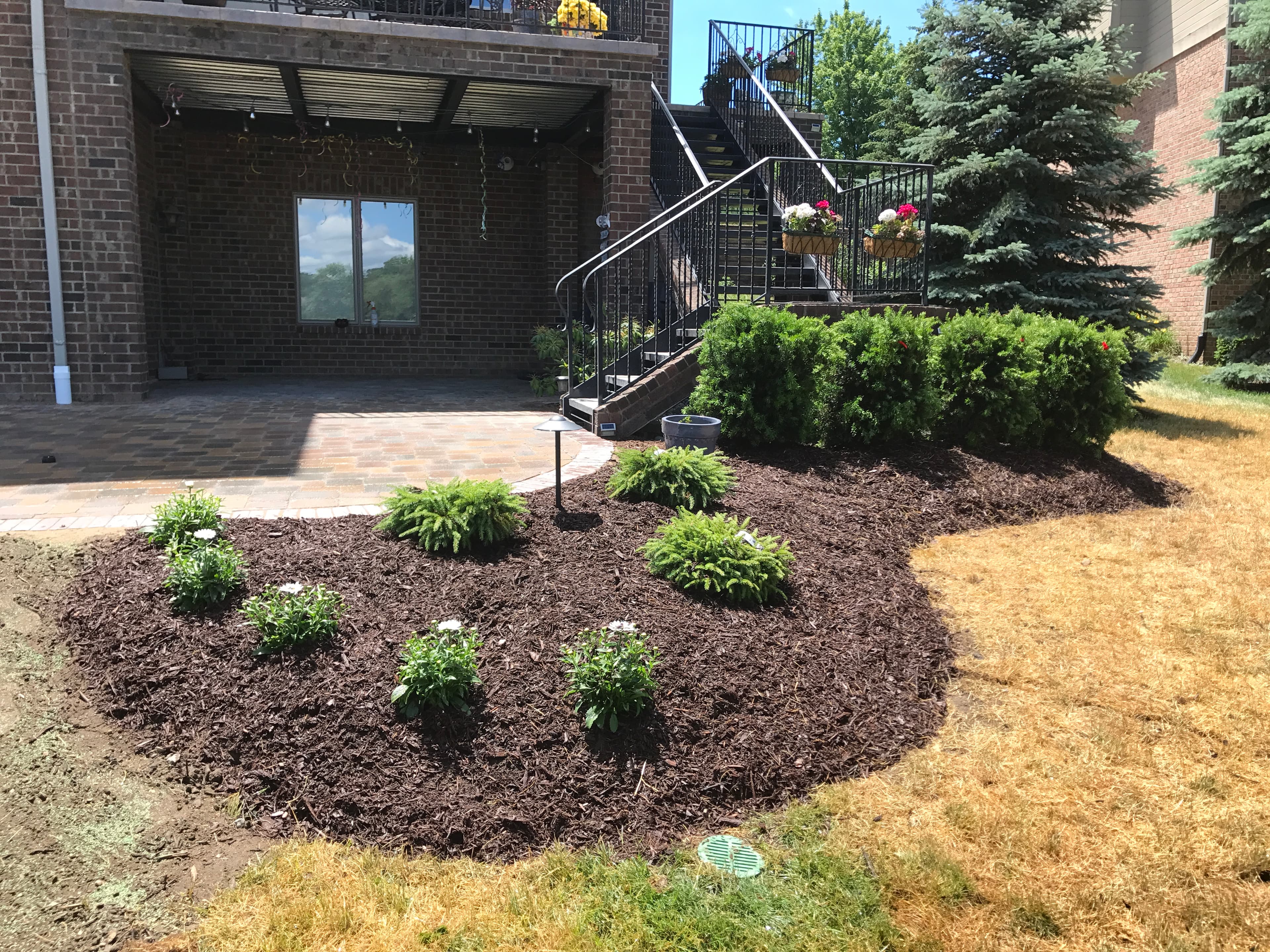 Paver Patio and Landscaping