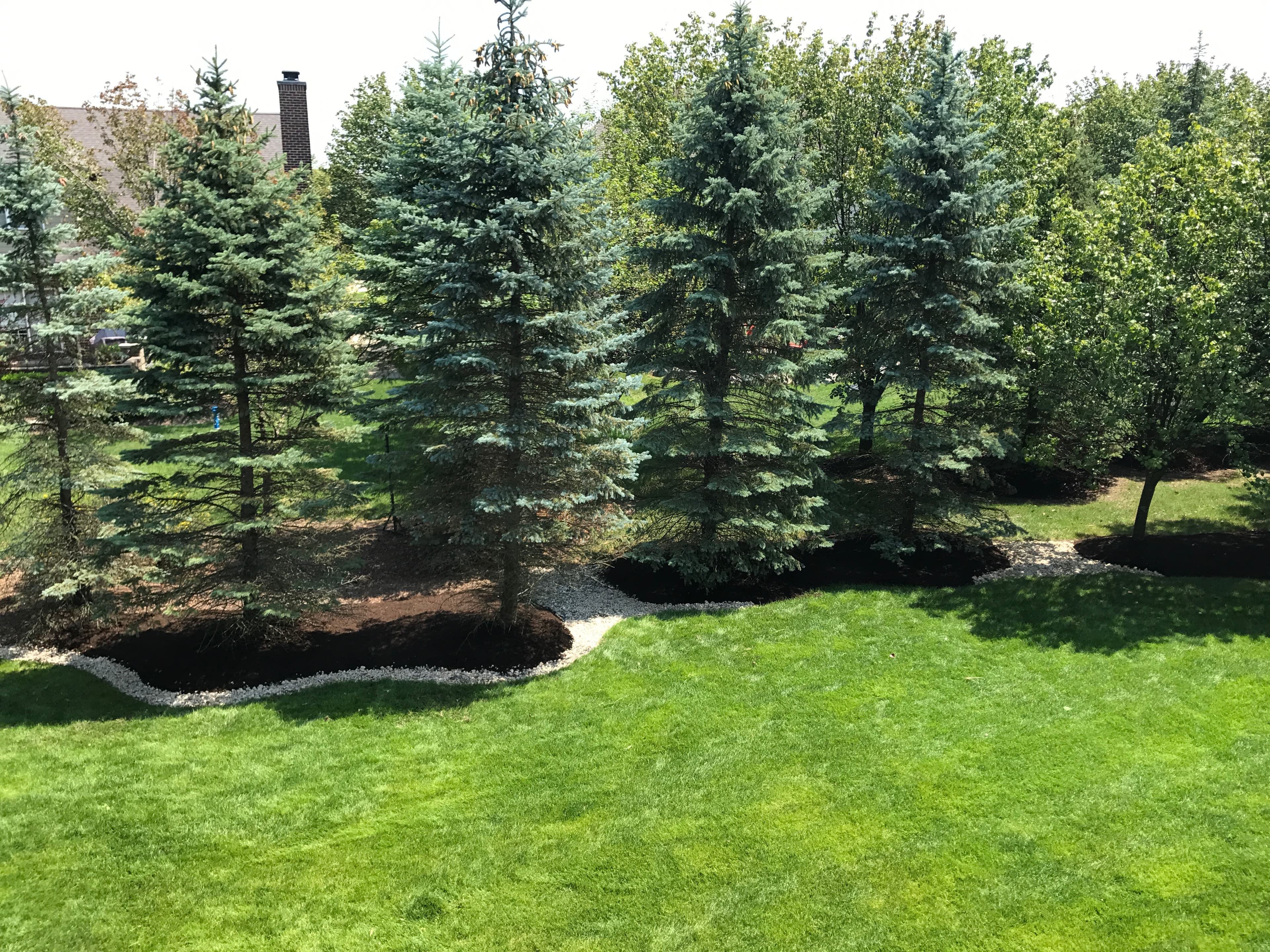 Mulch resurfacing and Rock Border installation