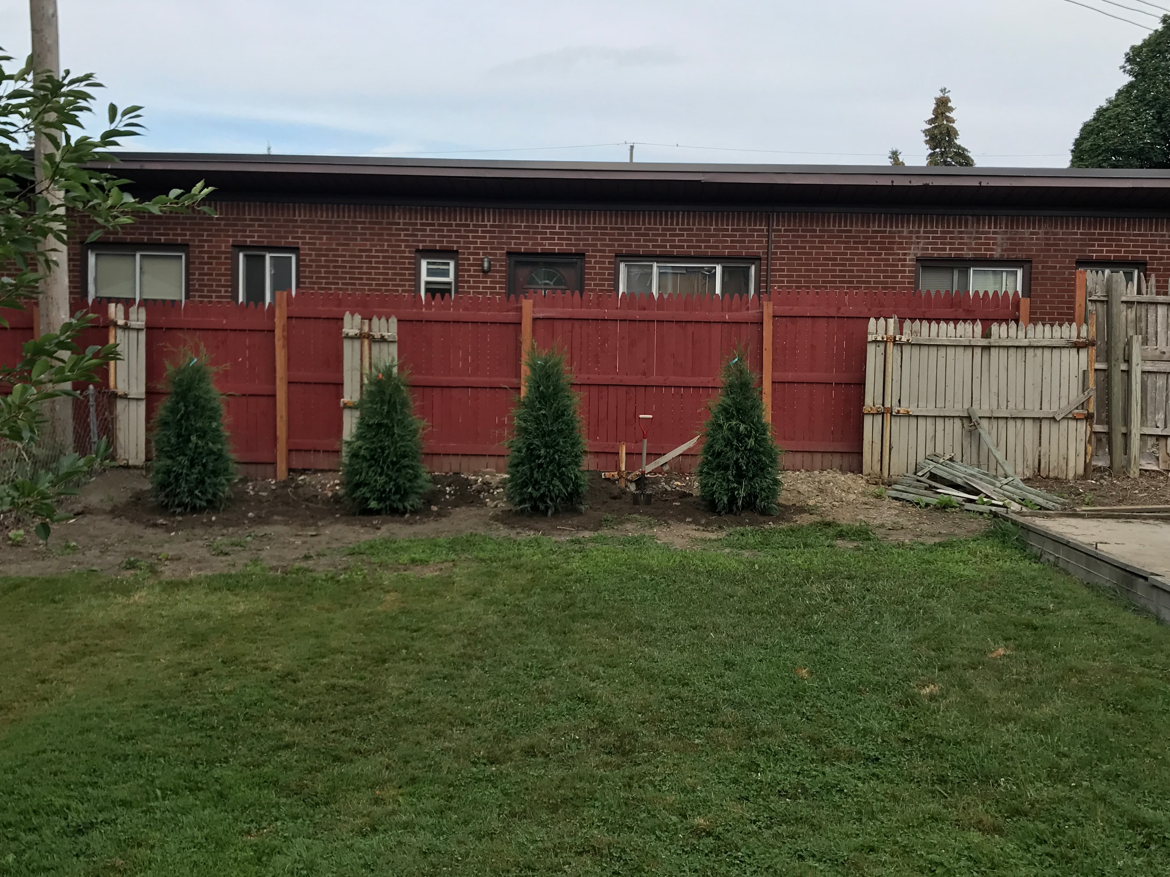 Residential Landscaping and Shrub Installation