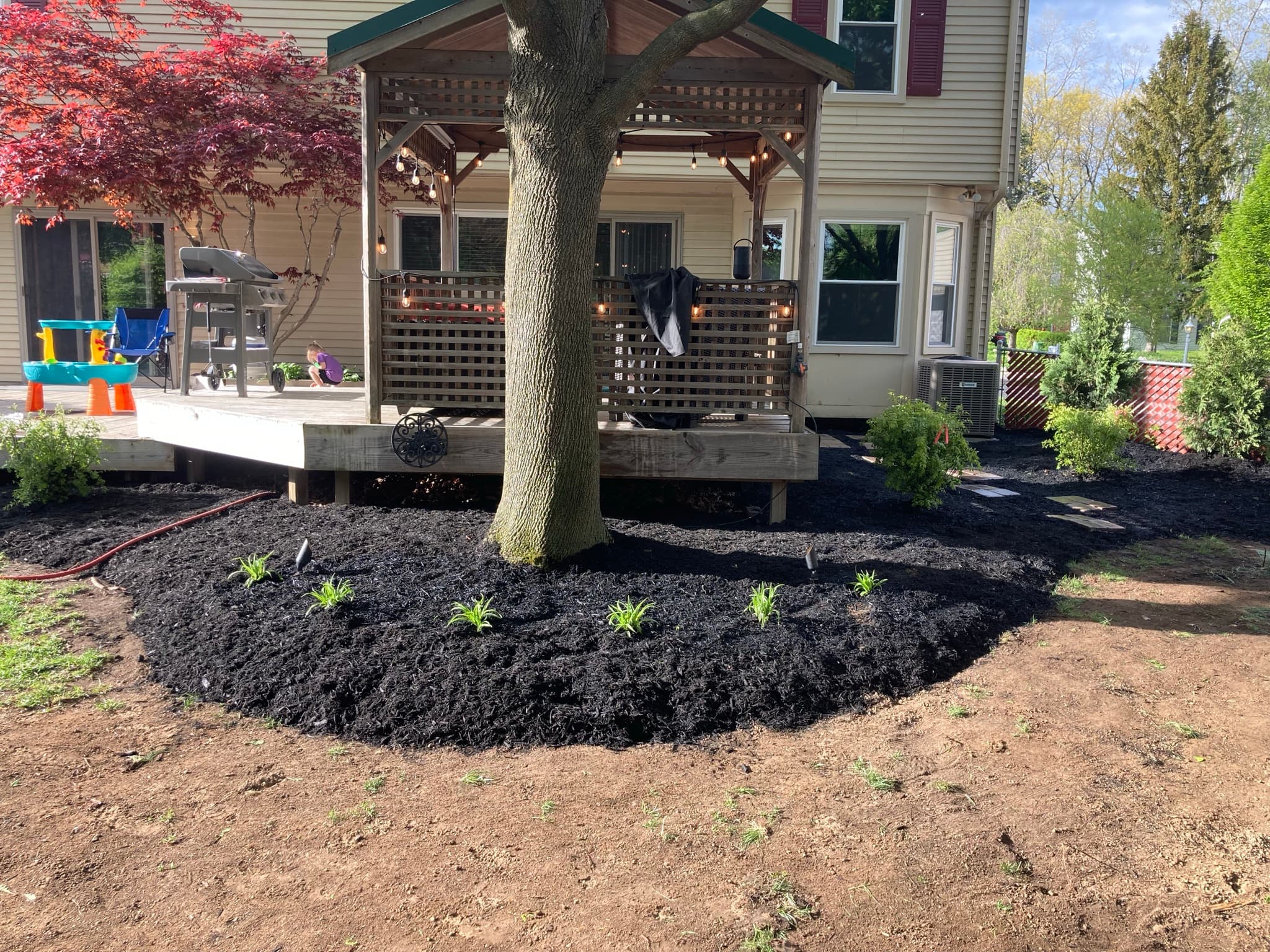 Mulch and Planting Project