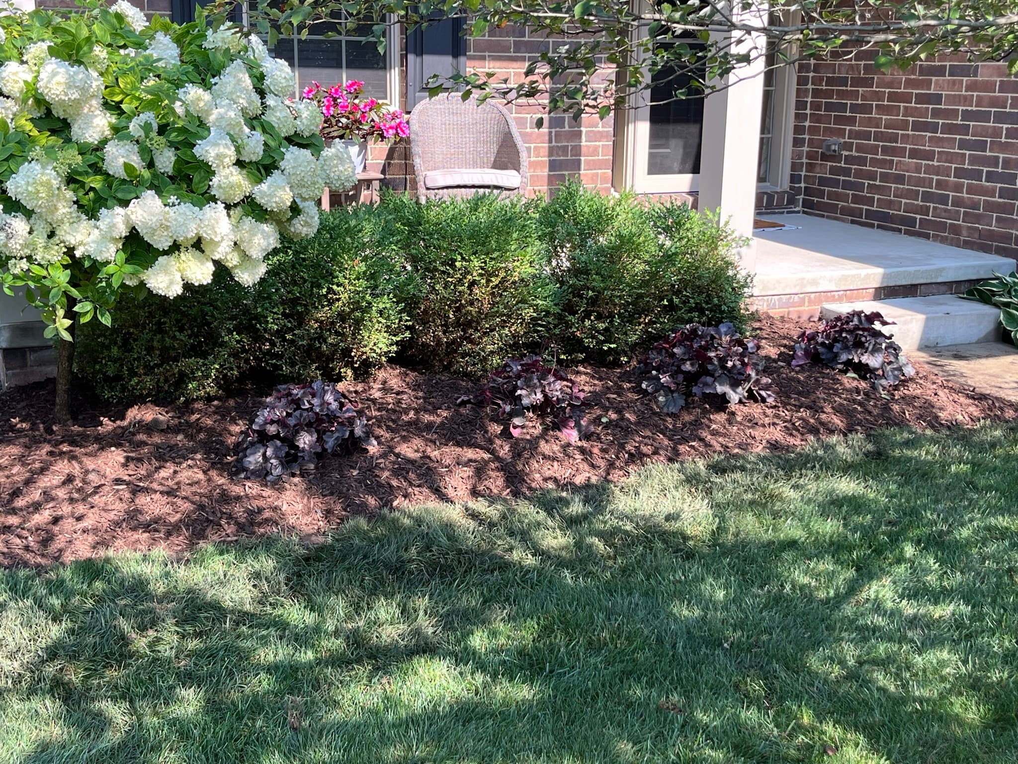 Foundation Planting with Hydrangea and Boxwood