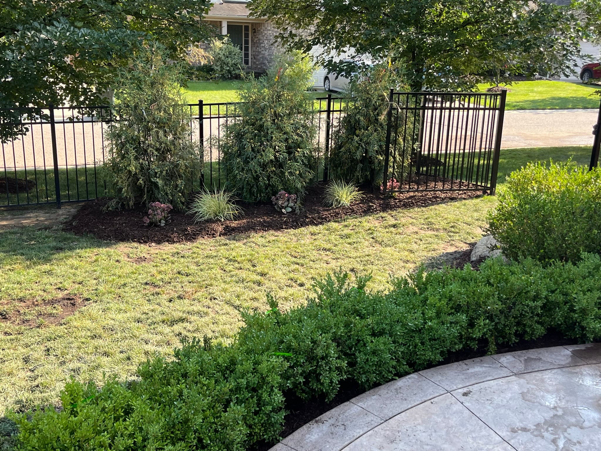 New Tree Installation with Fence