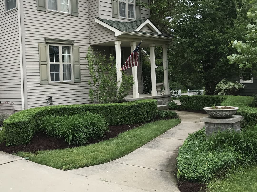 Bush and hedge trimming