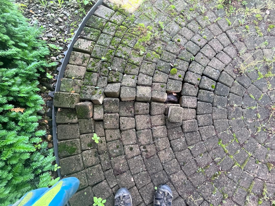 Stone repair